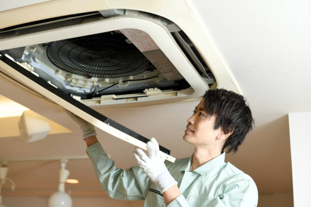 Best Duct Cleaning Specialists  in Northdale, FL